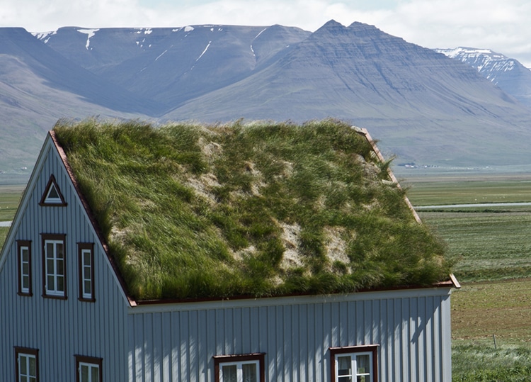 Green roofing materials
