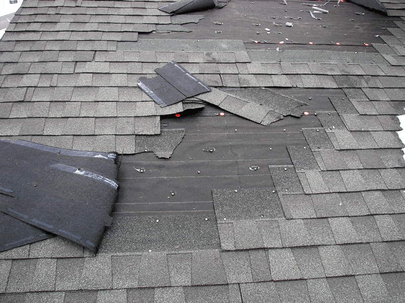 What Did Winter Do To Your Roof? - DaVinci Roofscapes